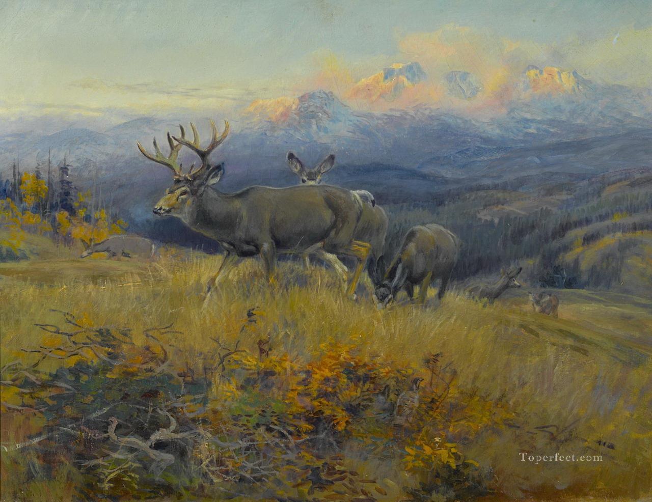 am104D13 animal deer Oil Paintings